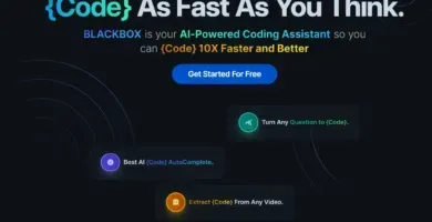 Blackbox: Copia Código Rápida Y Fácilmente De Varias Fuentes Gracias A La Ia