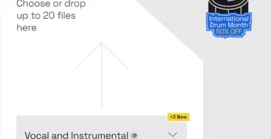 LALAL.AI: Elimina voces y separa fuentes musicales con IA 22 Lalal.ai: Elimina Voces Y Separa Fuentes Musicales Con Ia