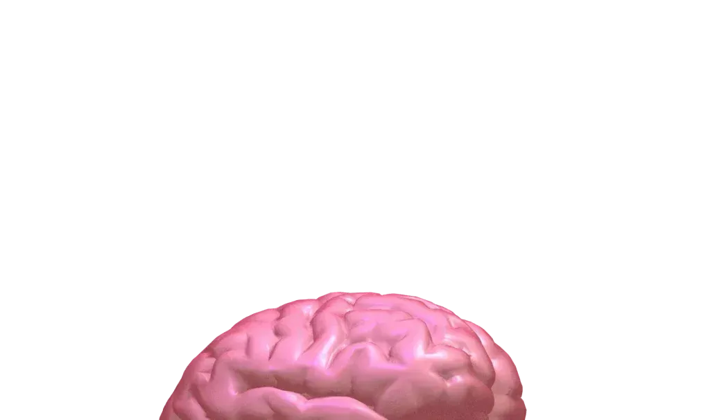 Conversai: Ia Que Ayuda A Responder Conversaciones De Forma Rápida Y Sencilla