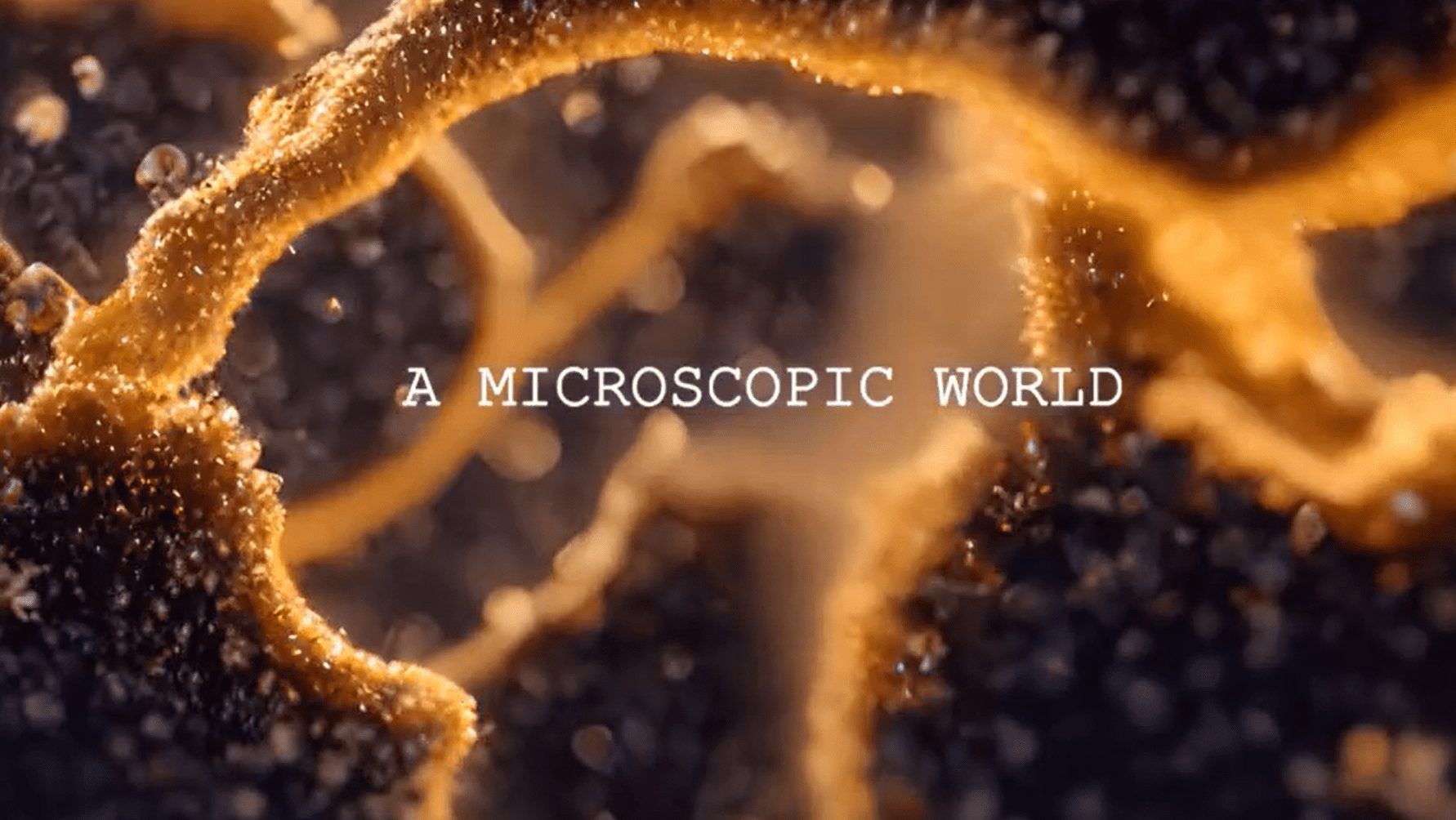 Playlist Ai: Crea Listas De Reproducci&Oacute;N A Partir De Mensajes De Inteligencia Artificial, Im&Aacute;Genes, V&Iacute;Deos Y Tu M&Uacute;Sica M&Aacute;S Escuchada