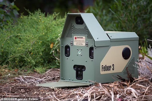 Felixer: El Robot Asesino De Gatos Callejeros Con Ia Desplegado En Australia