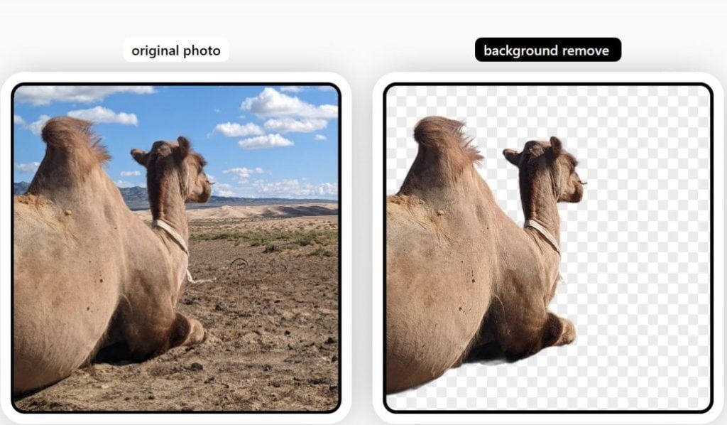 Img-Cut: Ia Para Eliminar Fondos De Imágenes En Segundos