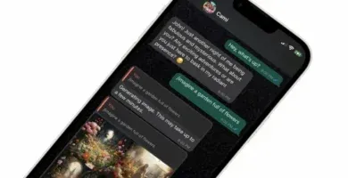 Cami o HeyCami para WhatsApp: Explorando este Chatbot de Inteligencia Artificial 3 Cami O Heycami Para Whatsapp: Explorando Este Chatbot De Inteligencia Artificial
