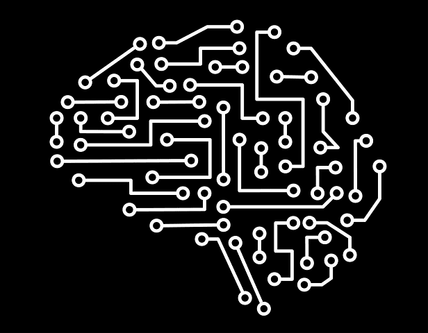 Científicos En Neurociencia Diseñan Un Modelo Que Simula El Aprendizaje Visual Humano