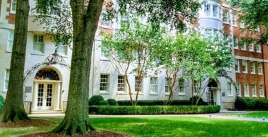 La Universidad Emory Implementará Ia Empática Para El Instituto De Salud