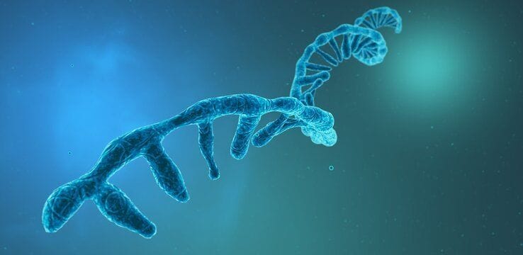 Singapur Desarrolla Herramienta Basada En Ia Para Predicción Precisa De La Estructura 3D Del Arn Para Mejorar El Diseño De Medicamentos