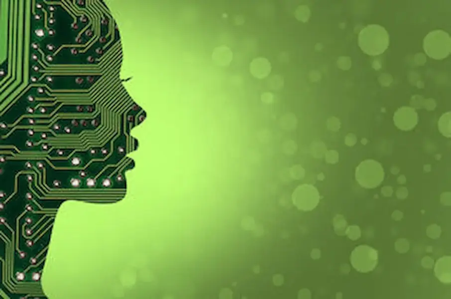 Los Científicos Buscan La Ayuda De Neurocientíficos Para Superar El Sesgo En Conjuntos De Datos