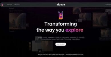 Alpaca