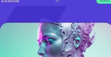 Blog Booster
