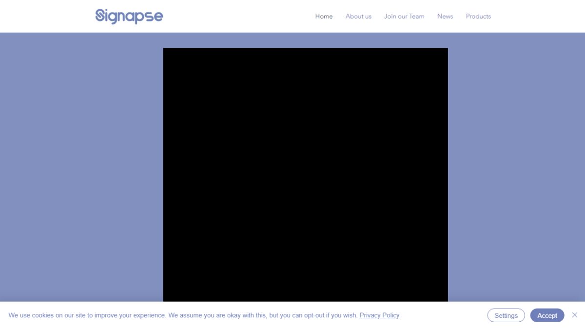 Signapse Ai