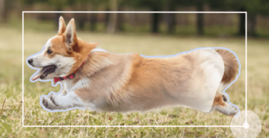 Segment Anything (Meta)