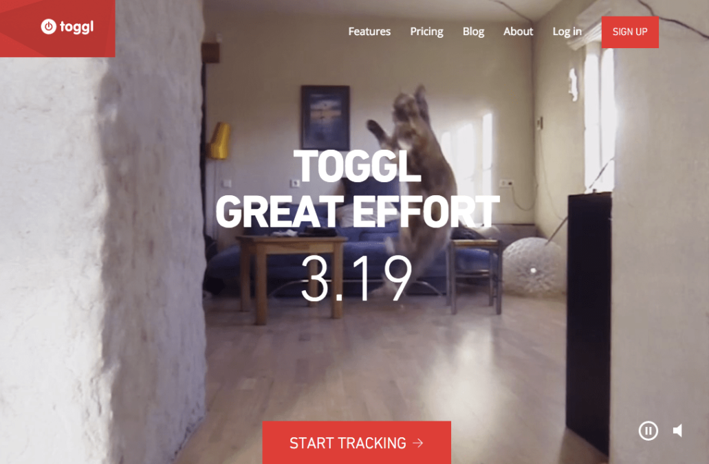 Toggl