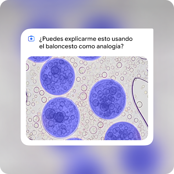 C&Oacute;Mo Activar Gemini Para Estudiantes Gratis Y Aprovechar Al M&Aacute;Ximo La Ia De Google